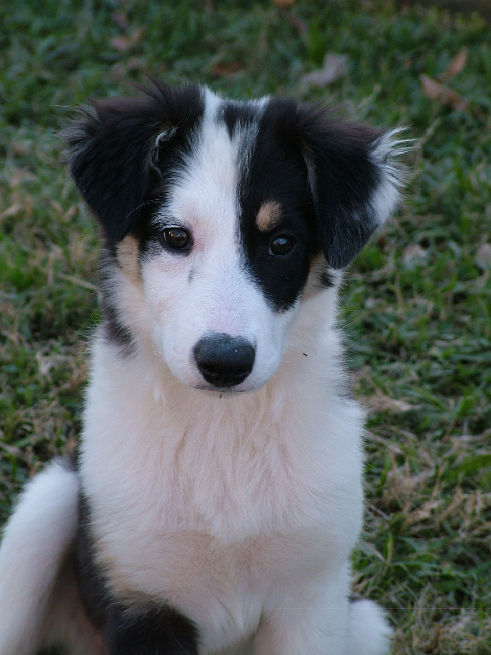 She's a Lil sweetie!